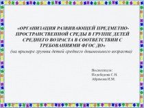 ОРГАНИЗАЦИЯ РАЗВИВАЮЩЕЙ ПРЕДМЕТНО-ПРОСТРАНСТВЕННОЙ СРЕДЫ В ГРУППЕ ДЕТЕЙ СРЕДНЕГО ВОЗРАСТА В СООТВЕТСТВИИ С ТРЕБОВАНИЯМИ ФГОС ДО презентация к уроку (средняя группа)