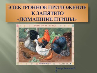 Электронное приложение к занятию Домашние птицы презентация к занятию по окружающему миру (подготовительная группа)