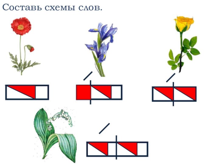 Составь схемы слов.