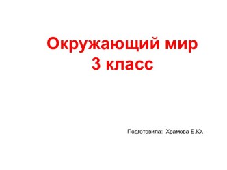 Природа в опасности презентация к уроку по окружающему миру (3 класс)