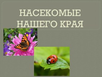 Презентация Насекомые нашего края презентация к уроку (старшая группа)