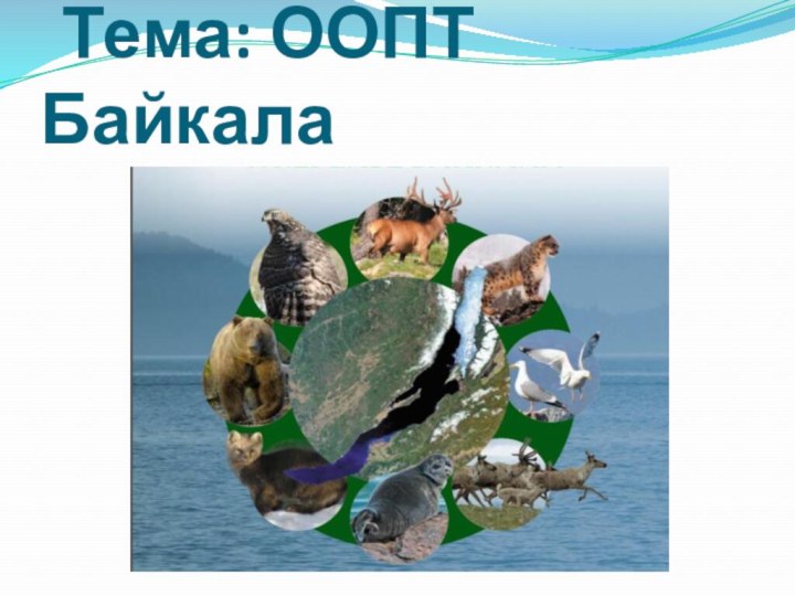 Тема: ООПТ Байкала