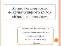 Презентация Авторской программы факультативного курса Юный конструктор методическая разработка по изобразительному искусству (изо, 1, 2 класс)