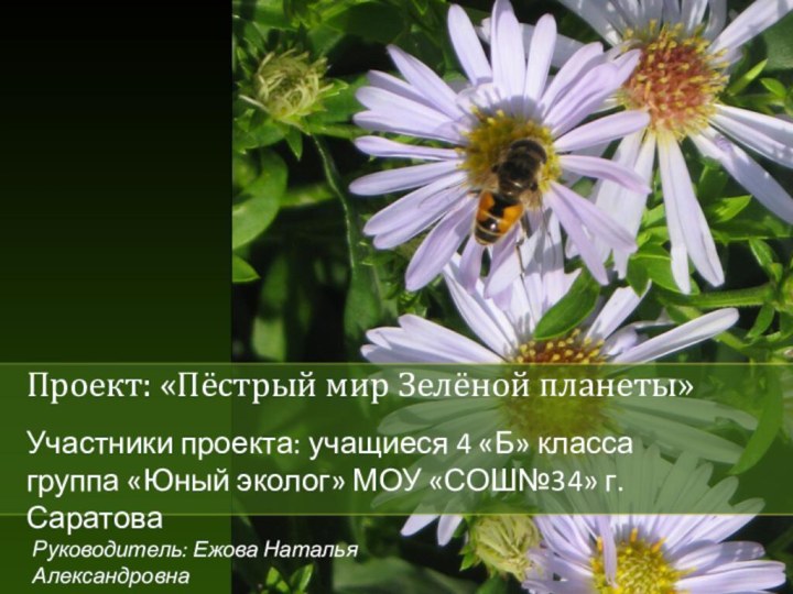 Проект: «Пёстрый мир Зелёной планеты»Участники проекта: учащиеся 4 «Б» класса группа «Юный