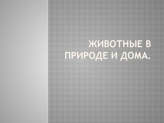 презентация к занятию по ознакомлению с окружающим в старшей логопедической группе Животные в природе и дома презентация к уроку по окружающему миру (старшая группа) по теме