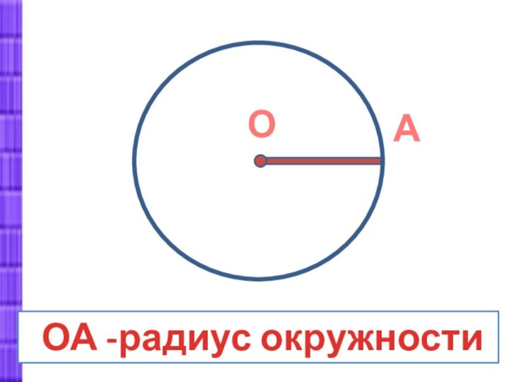 ОА ОА -радиус окружности