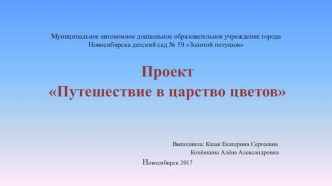 Проект Путешествие в царство цветов проект по окружающему миру (средняя группа)