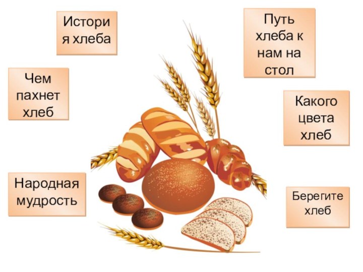 История хлебаПуть хлеба к нам на столЧем пахнет хлебКакого цвета хлебНародная мудростьБерегите хлеб