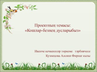 Кошлар- безнең дусларыбыз. презентация к уроку (младшая группа)
