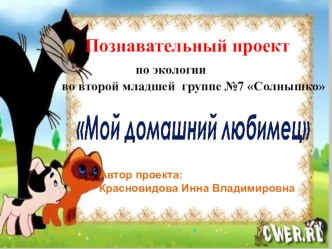 Познавательный проект по экологии во второй младшей группе №7 Солнышко проект по окружающему миру (младшая группа)