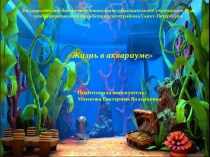 Презентация Жизнь в аквариуме презентация к уроку по окружающему миру (средняя группа)