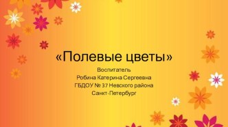 Полевые цветы презентация к уроку по окружающему миру (средняя группа)