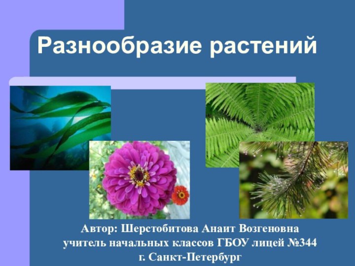 Разнообразие растенийАвтор: Шерстобитова Анаит Возгеновнаучитель начальных классов ГБОУ лицей №344г. Санкт-Петербург