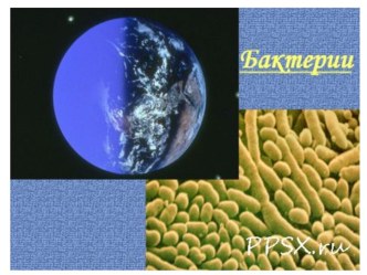 Бактерии презентация к уроку по окружающему миру (3 класс)