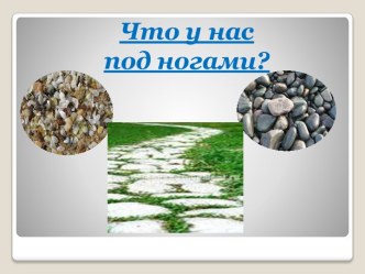 Что у нас под ногами. Презентация. презентация к уроку по окружающему миру (1 класс)