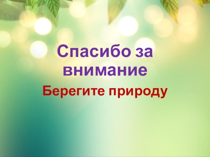 Спасибо за вниманиеБерегите природу