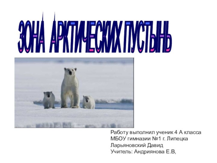 ЗОНА АРКТИЧЕСКИХ ПУСТЫНЬ Работу выполнил ученик 4 А класса МБОУ гимназии №1