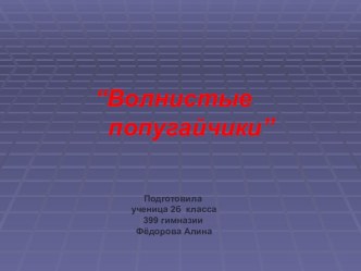 Презентация Волнистые попугайчики творческая работа учащихся по окружающему миру (2 класс) по теме