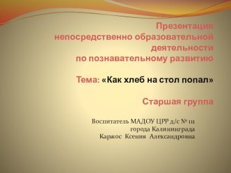 Разработка НОД по познавательному развитию Как хлеб на стол попал презентация к уроку по окружающему миру (старшая группа) по теме