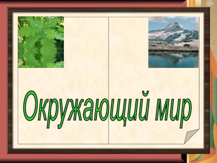 Окружающий мир