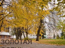 Золотая осень Архангельск презентация к уроку по окружающему миру
