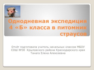 однодневная экспедиция в Южное графство презентация к уроку по окружающему миру (4 класс) по теме