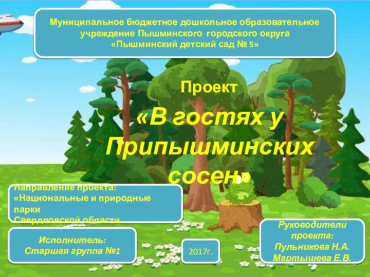 Исполнитель:Старшая группа №1Направление проекта:«Национальные и природные паркиСвердловской областиПроект«В гостях у Припышминских сосен»