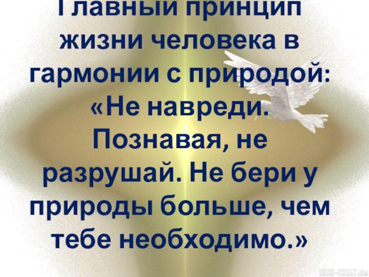 Главный принцип жизни человека в гармонии с природой:  «Не навреди. Познавая,