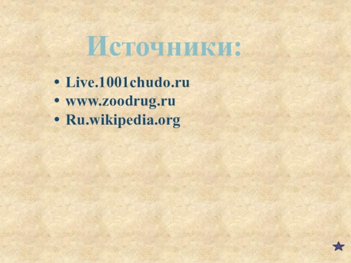Источники:Live.1001chudo.ruwww.zoodrug.ruRu.wikipedia.org