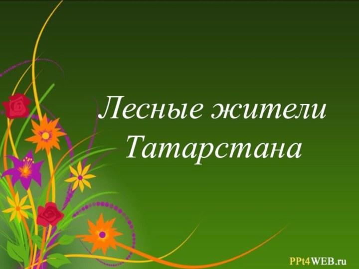 Лесные жители Татарстана
