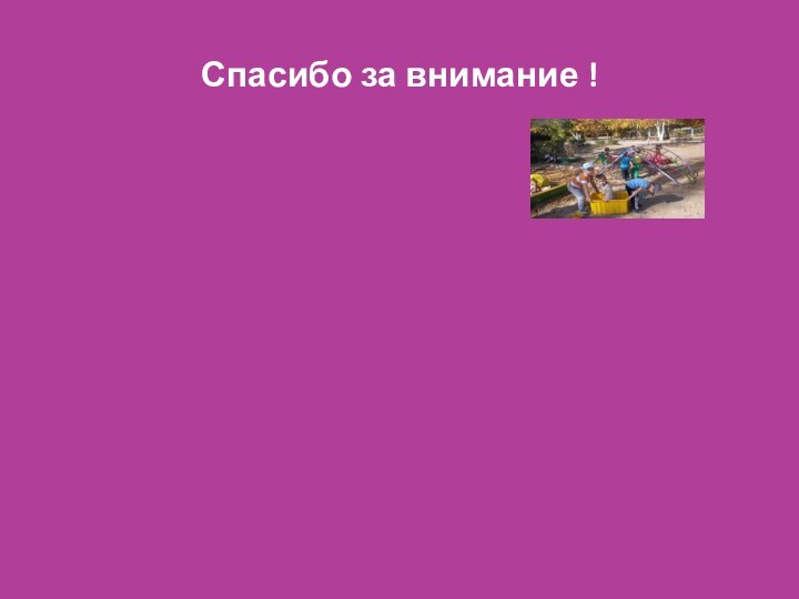 Спасибо за внимание !