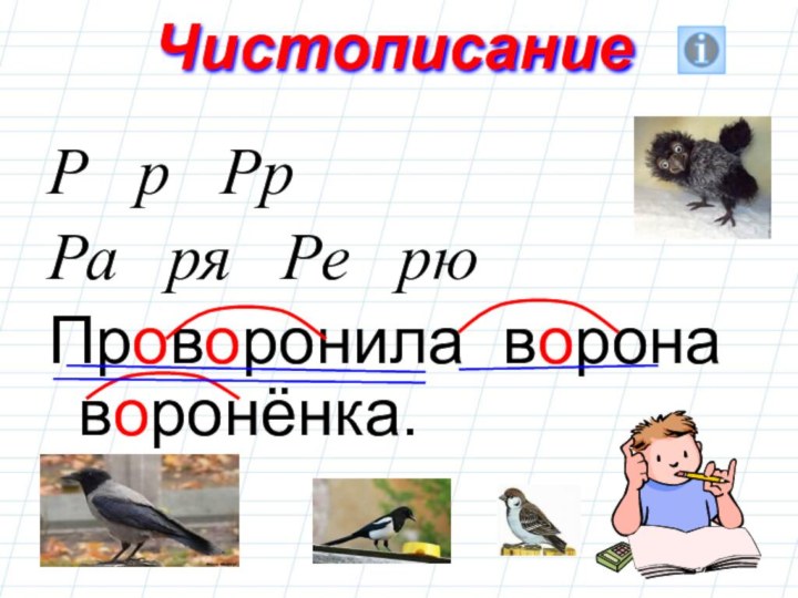 ЧистописаниеР  р  Рр Ра  ря  Ре  рюПроворонила ворона воронёнка.