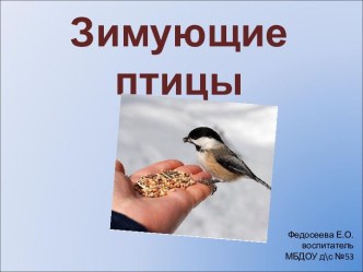 Зимующие птицы презентация к уроку по окружающему миру (младшая группа)