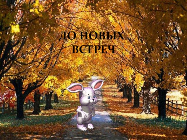 ДО НОВЫХ ВСТРЕЧ