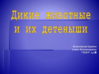 Дикие животные и их детёныши