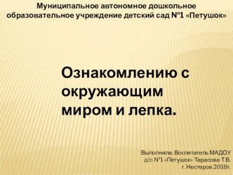 Мультимедиа по Ознокомлению с окружающим миром и Лепка презентация по аппликации, лепке