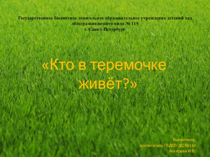 Государственное бюджетное дошкольное образовательное учреждение детский сад общеразвивающего вида № 119