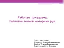 Рабочая программа. Развитие тонкой моторики рук рабочая программа (средняя группа)