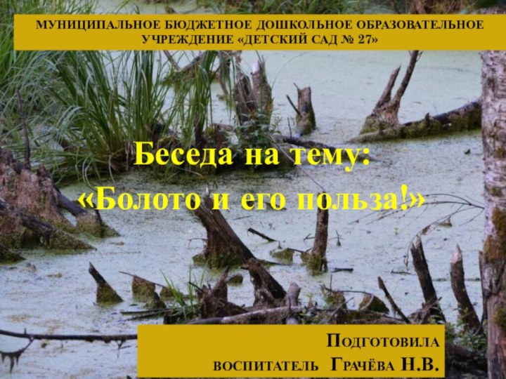 Беседа на тему: «Болото и его польза!»Подготовила воспитатель Грачёва Н.В.МУНИЦИПАЛЬНОЕ БЮДЖЕТНОЕ ДОШКОЛЬНОЕ