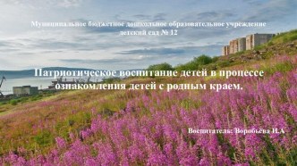 Чемоданчик Знайки Патриотическое воспитание детей в процессе ознакомления с родным краем. презентация к уроку (старшая группа)