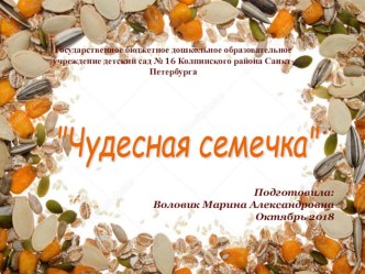 Чудесная семечка консультация по конструированию, ручному труду