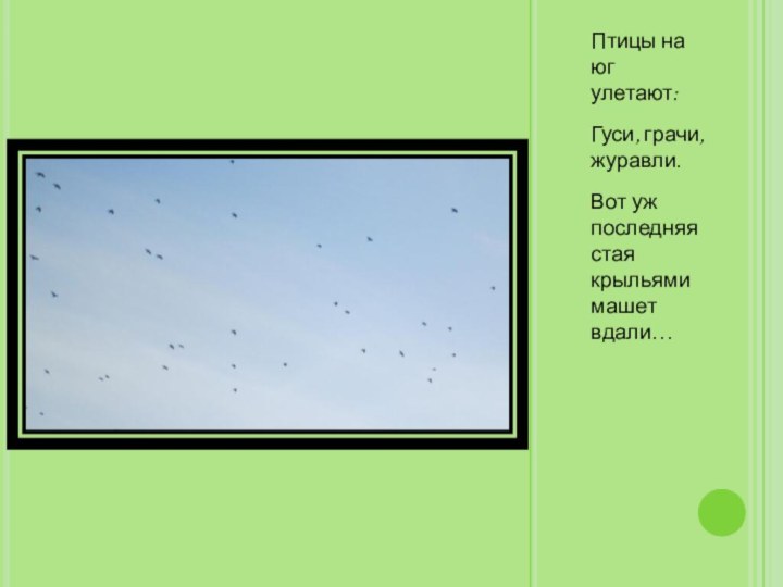 Птицы на юг улетают:Гуси, грачи, журавли.Вот уж последняя стая крыльями машет вдали…