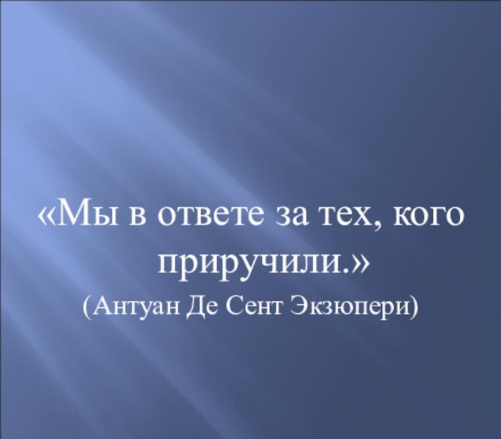 «Мы в ответе за тех, кого приручили.»(Антуан Де Сент Экзюпери)