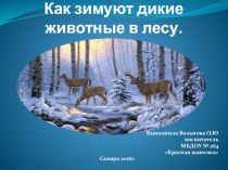 Дикие животные средней полосы России зимой. план-конспект занятия по окружающему миру (старшая группа)
