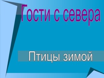 Конспект занятия  Зимующие птицы (с презентацией) презентация к занятию по развитию речи (младшая группа) по теме