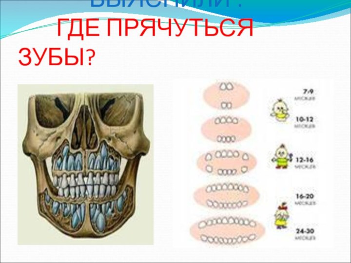 ВЫЯСНИЛИ :