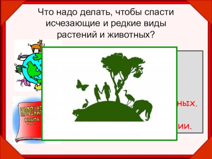 Что надо делать, чтобы спасти исчезающие и редкие виды  растений и