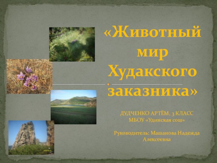 ДУДЧЕНКО АРТЁМ, 3 КЛАССМБОУ «Удинская сош»Руководитель: Машанова Надежда Алексеевна«Животный мир Худакского заказника»