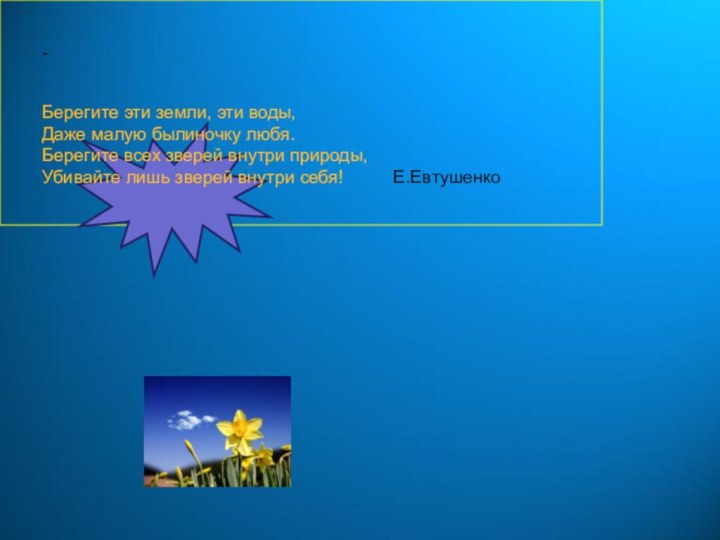 - Берегите эти земли, эти воды,Даже малую былиночку любя.Берегите всех зверей внутри