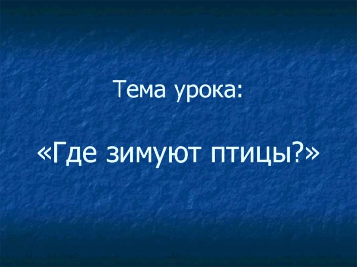 Тема урока:  «Где зимуют птицы?»